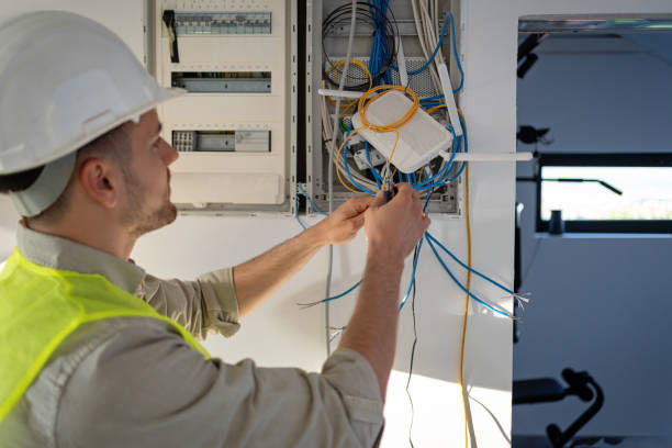Best Electric Panel Repair  in Iron River, MI